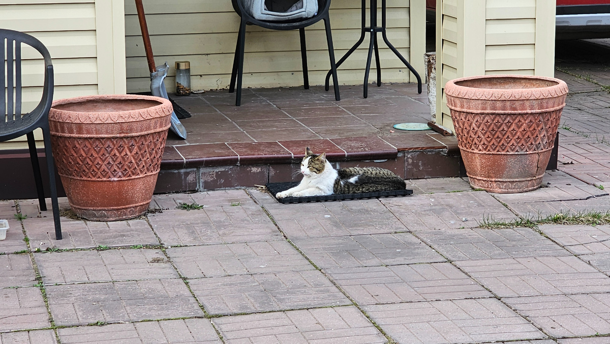 Золотой голос Владимирской области Клёпа