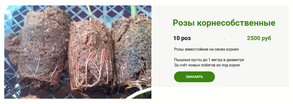 Фрагмент со страницы https://helen-trehrechniy.ru/rose-catalog от 28.04.2025