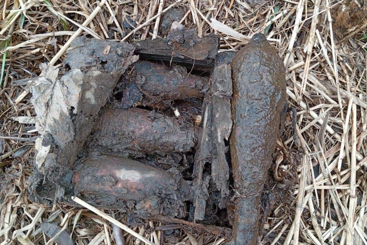    Фото: Росгвардия Петербурга