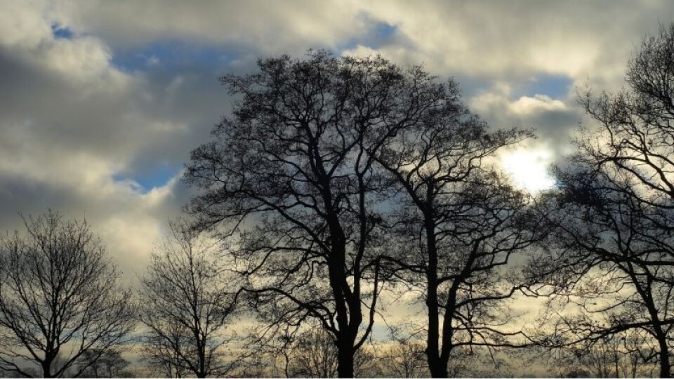    Ветер. Штормовая погода. Источник: pixabay.com