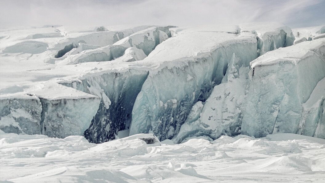    Фото: Sergey Metelitsa/Globallookpress