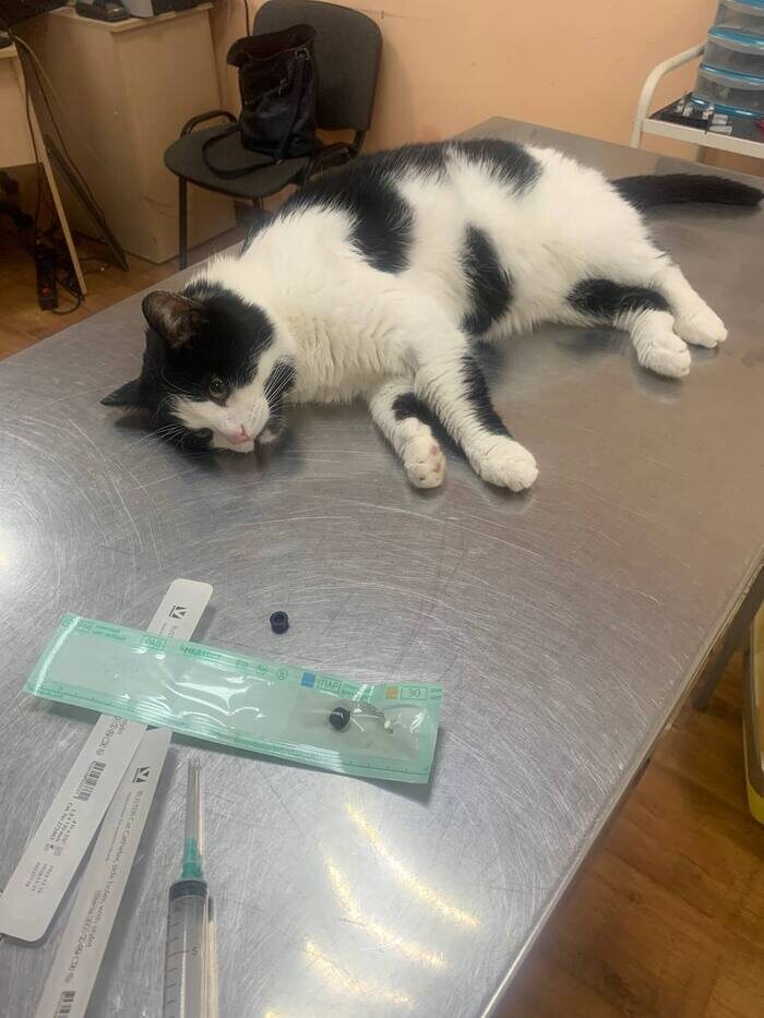 Феденьке откачивают мочу