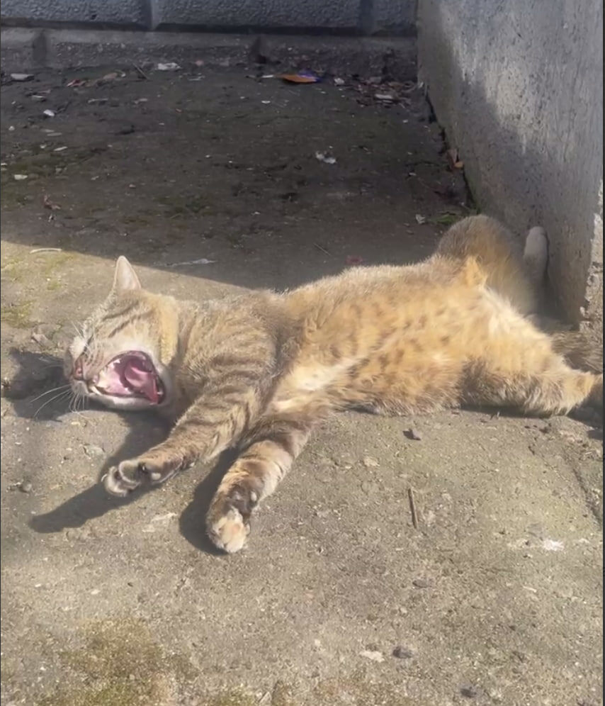 Сёмочка немного не выспался