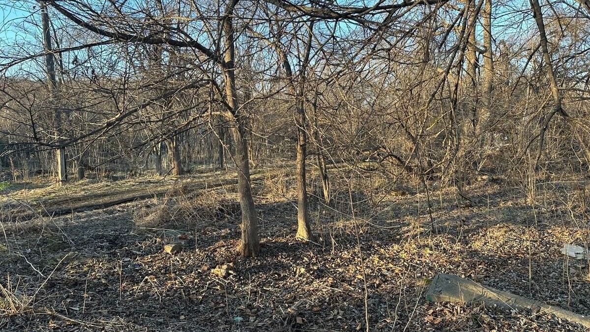     Источник: vostokmedia.com