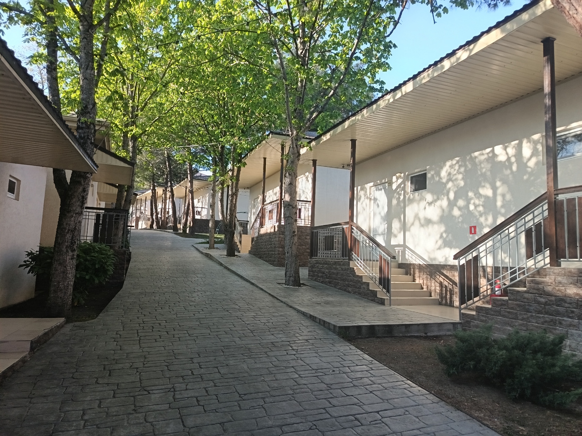 Наша весна 2025