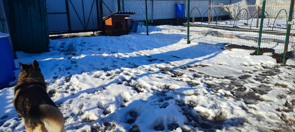 Ну уже гораздо лучше чем было. 