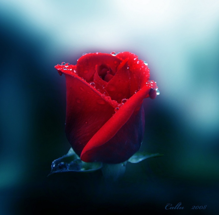 Ведьма Юлия iwitch.ru отзывы