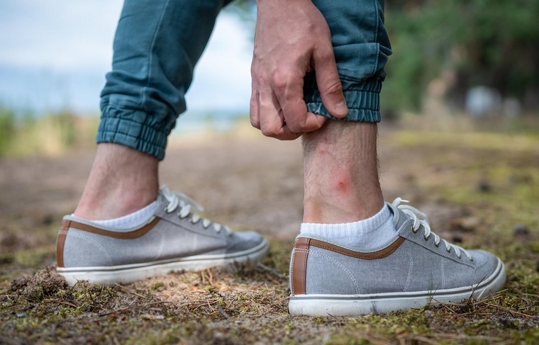    Shutterstock/FOTODOM