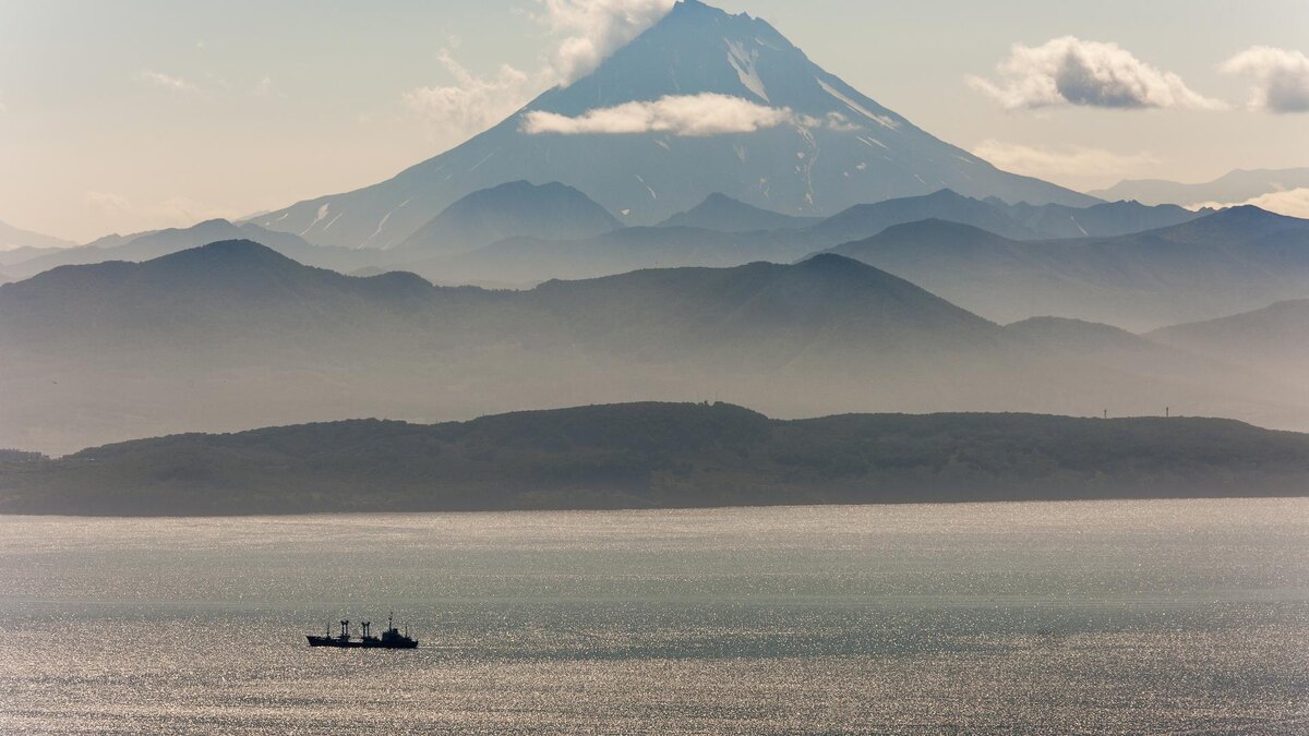    Фото: KONSTANTIN KOKOSHKIN/Константин Кокошкин