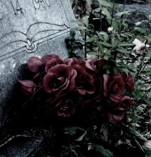 Изображение взято из открытых источников интернета. 