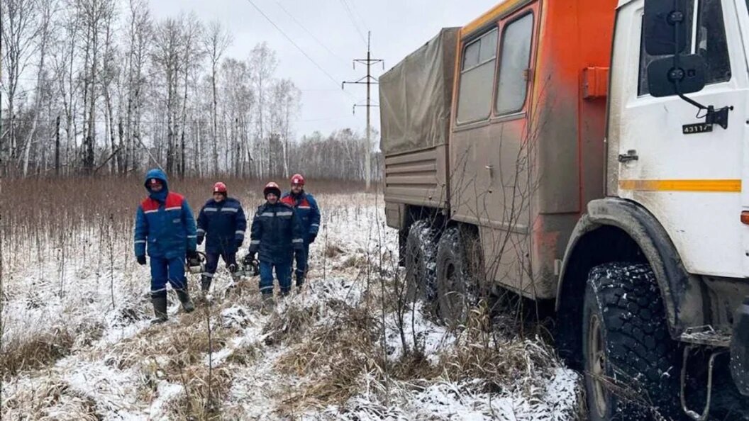    Фото: Россети Новосибирск