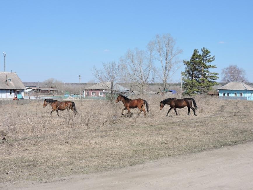     Фото Анны Зубаревой