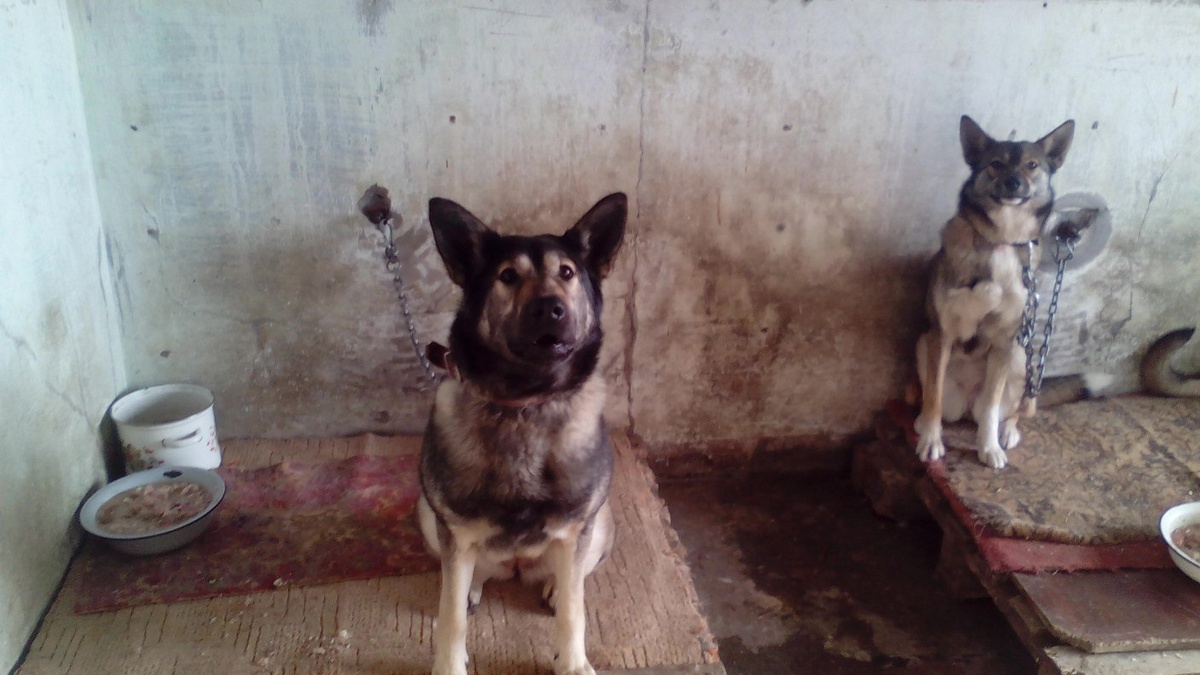 Тетя и наша Сестренка.