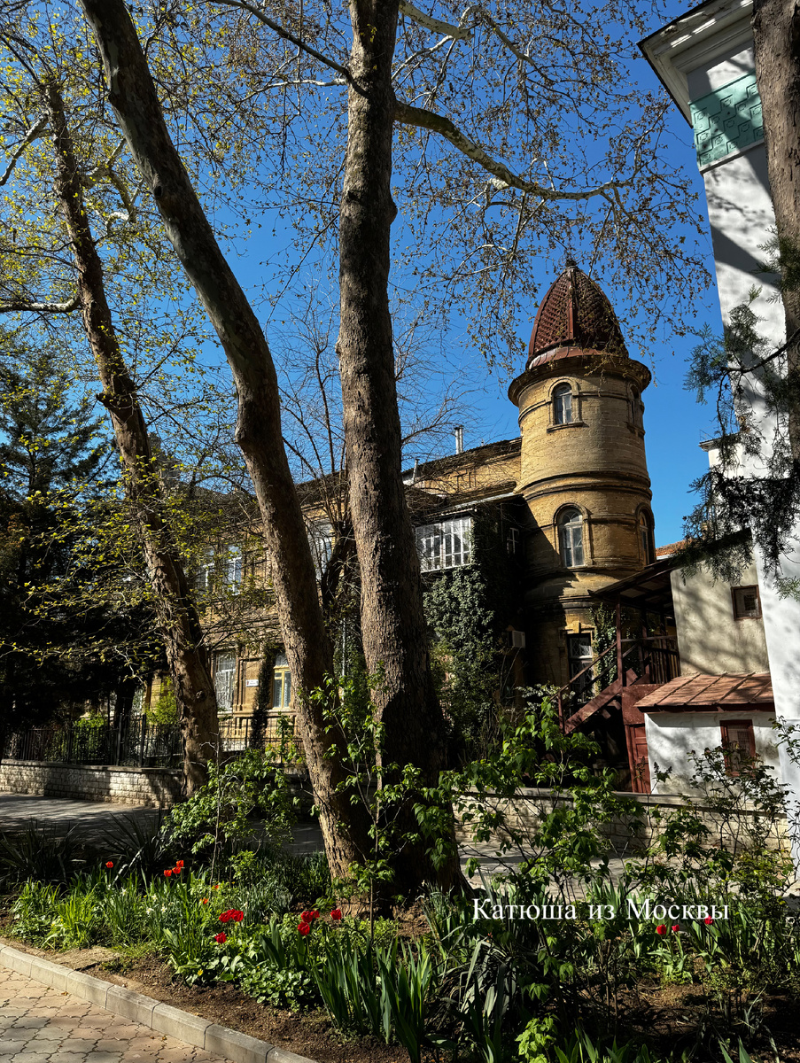 Фото сделано автором канала на дзен Катюша из Москвы