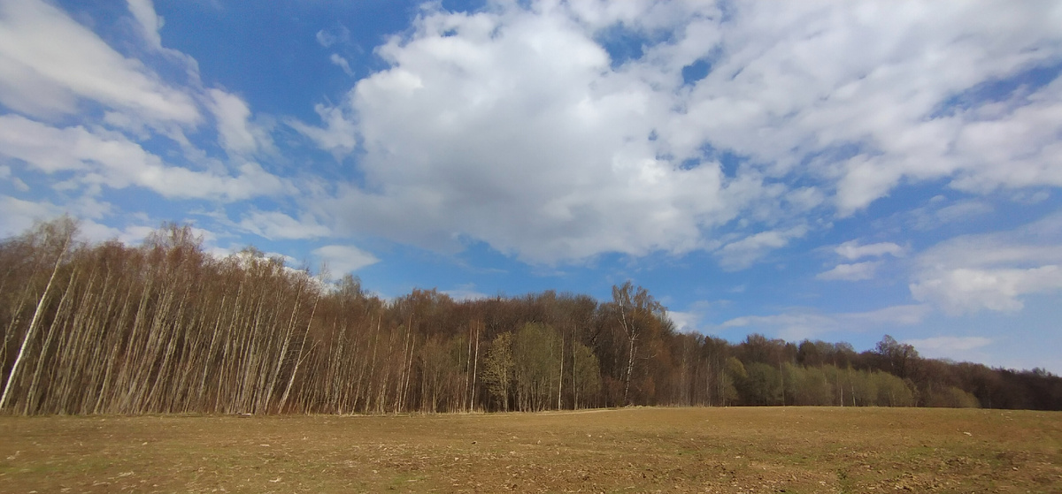 Личное фото