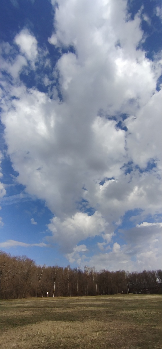 Личное фото