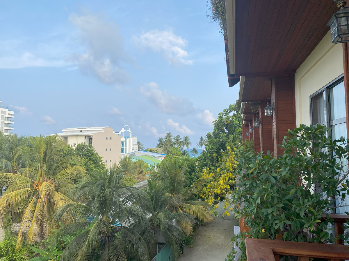 Вид с балкона