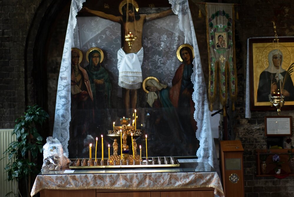    Фото: freepik.com