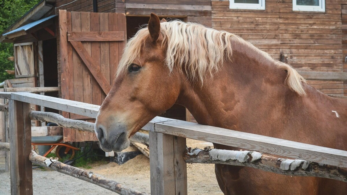     Источник: atas.info