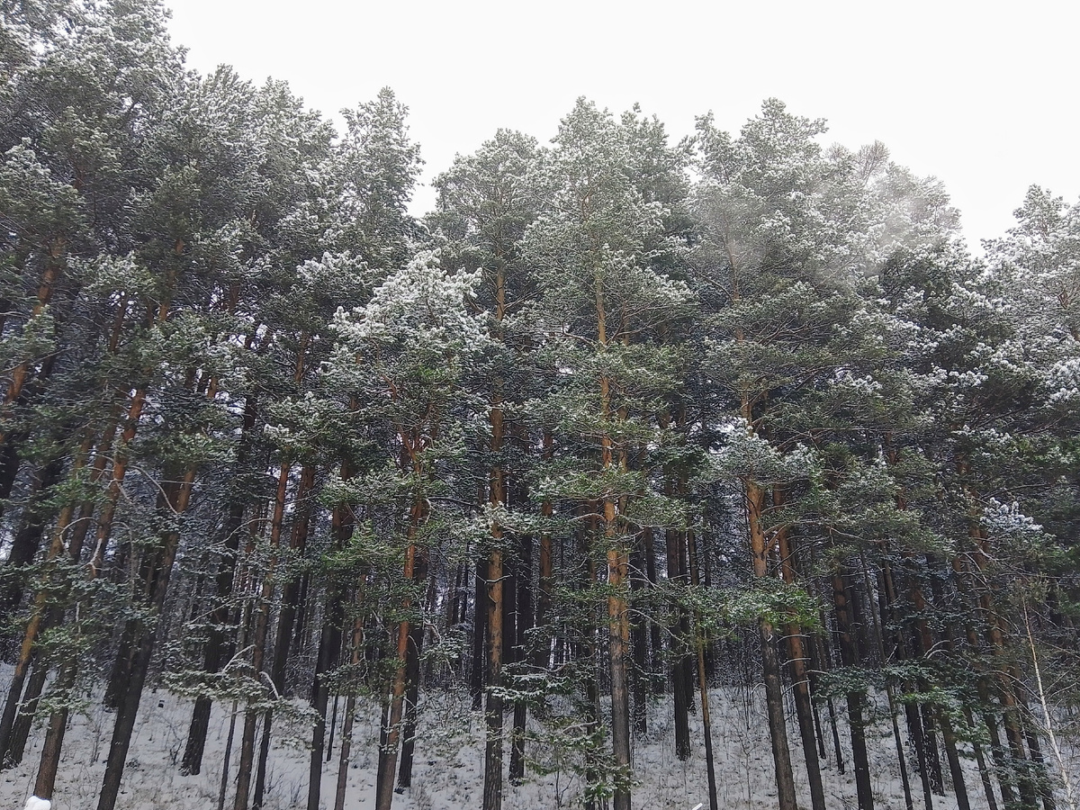 В субботу с утра