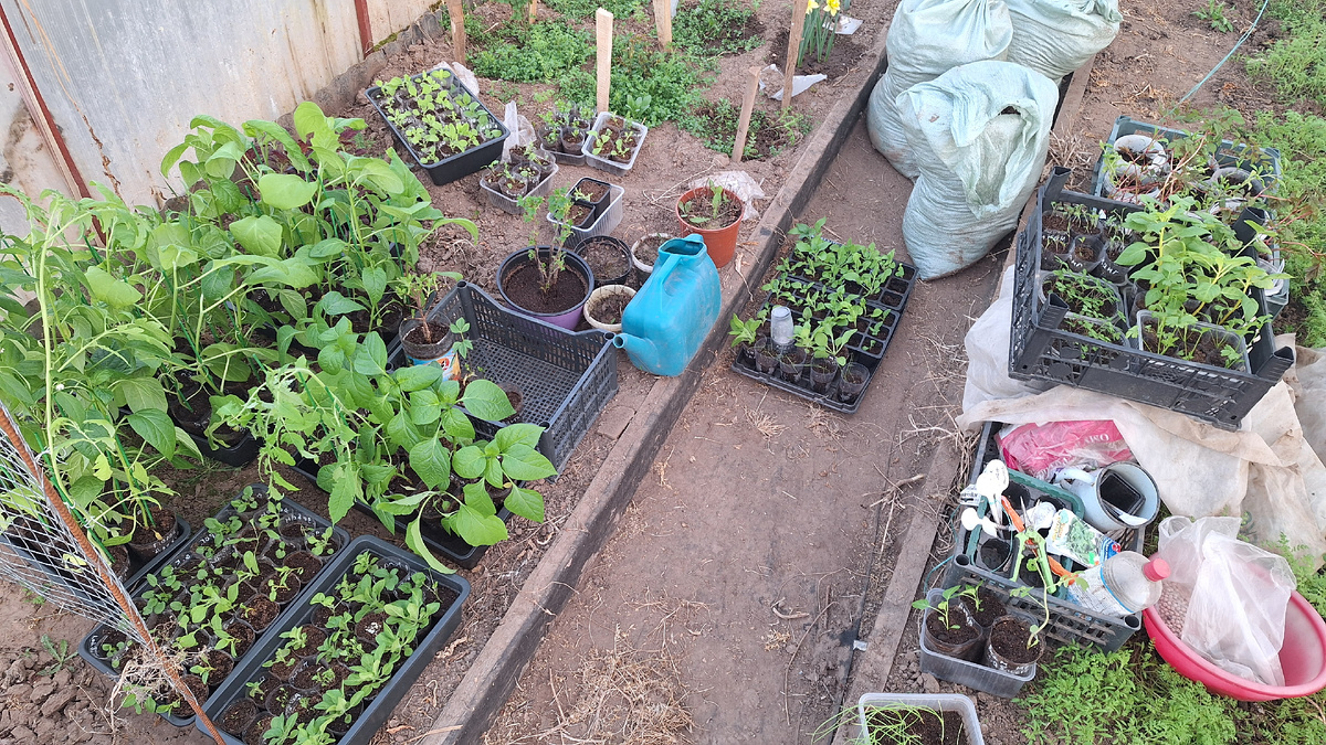 Фото автора. 