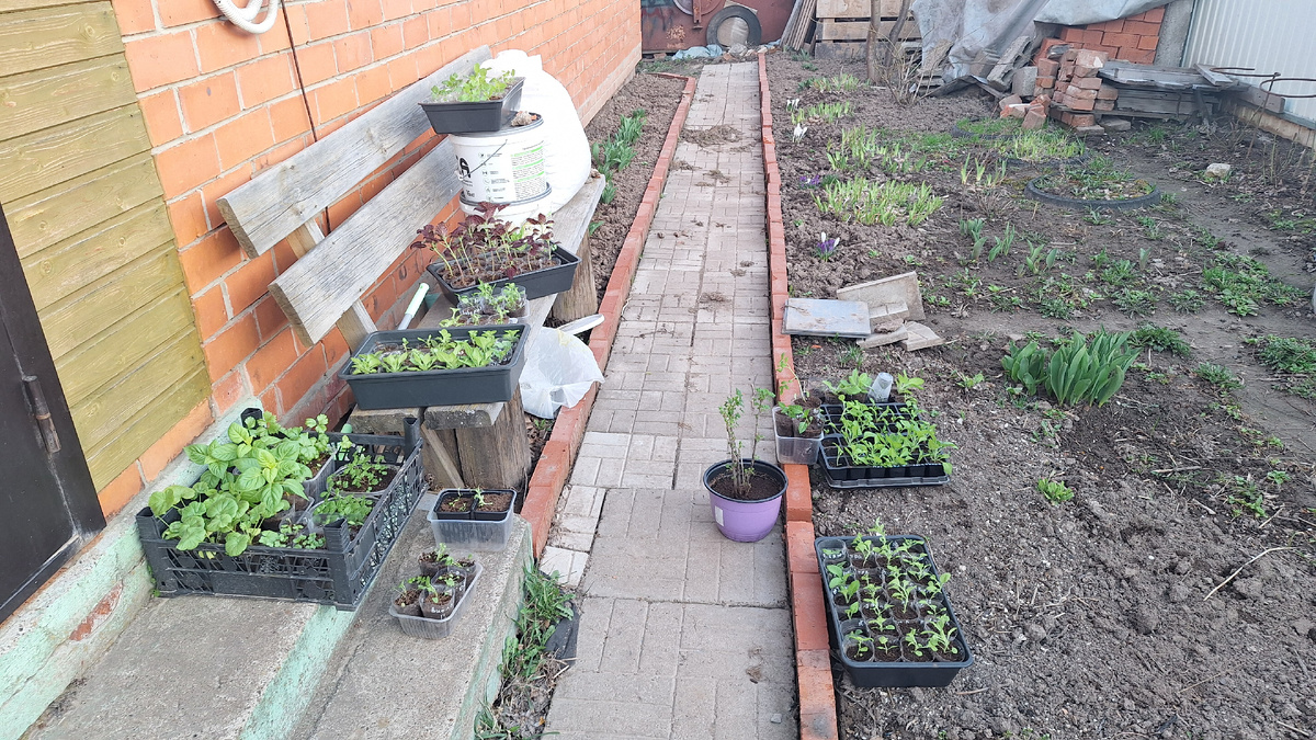 Фото автора. 