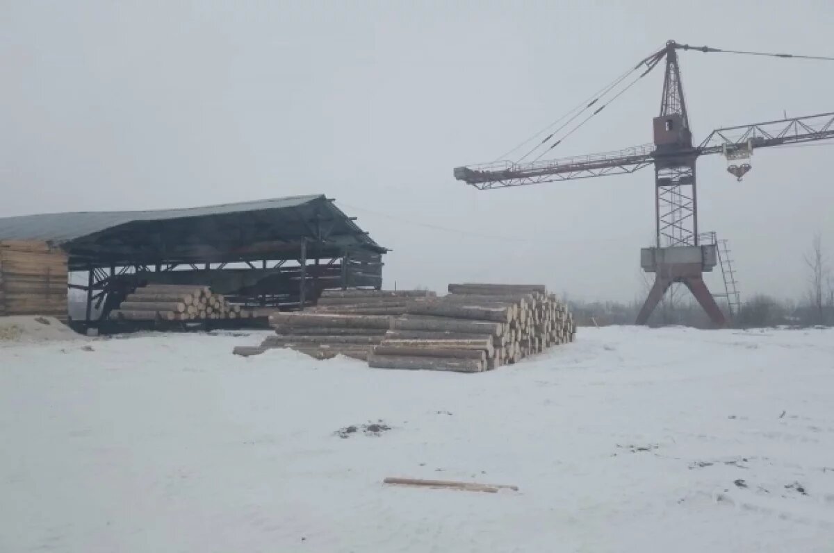    В Канске силовики выявили контрабанду древесины на 96 млн рублей