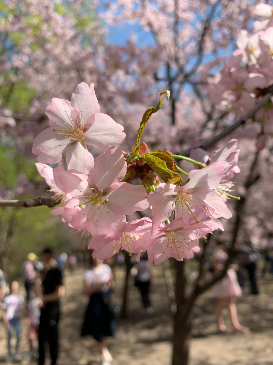 Фото автора канала
