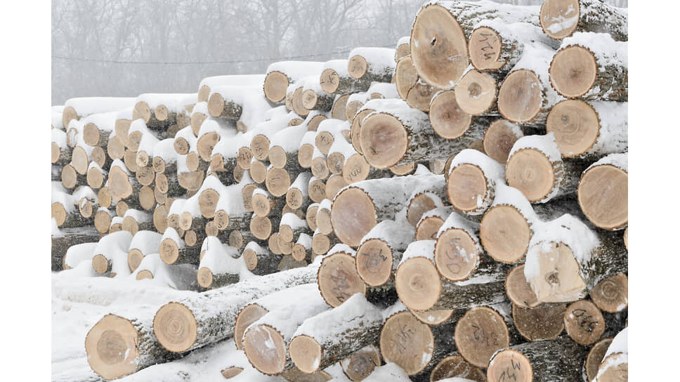 Фото: Игорь Елисеев / Коммерсантъ