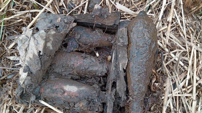 Фото: ГУ Росгвардии по Санкт-Петербургу и Лен.области