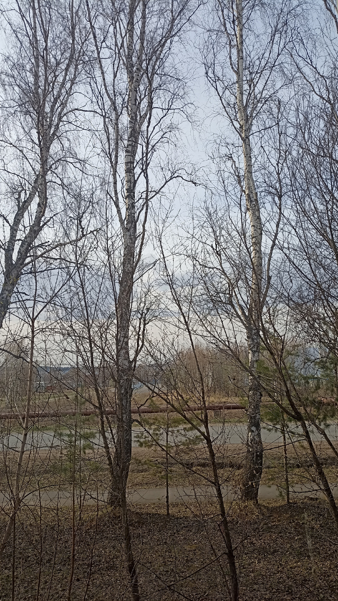 Фото из окна балкона. 