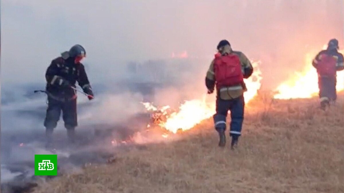    В Забайкалье пожары уничтожили рекордные 60 тысяч гектаров леса