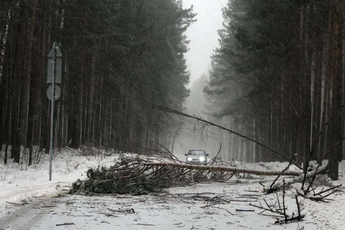    Фото: Новосибирск с огоньком/Telegram