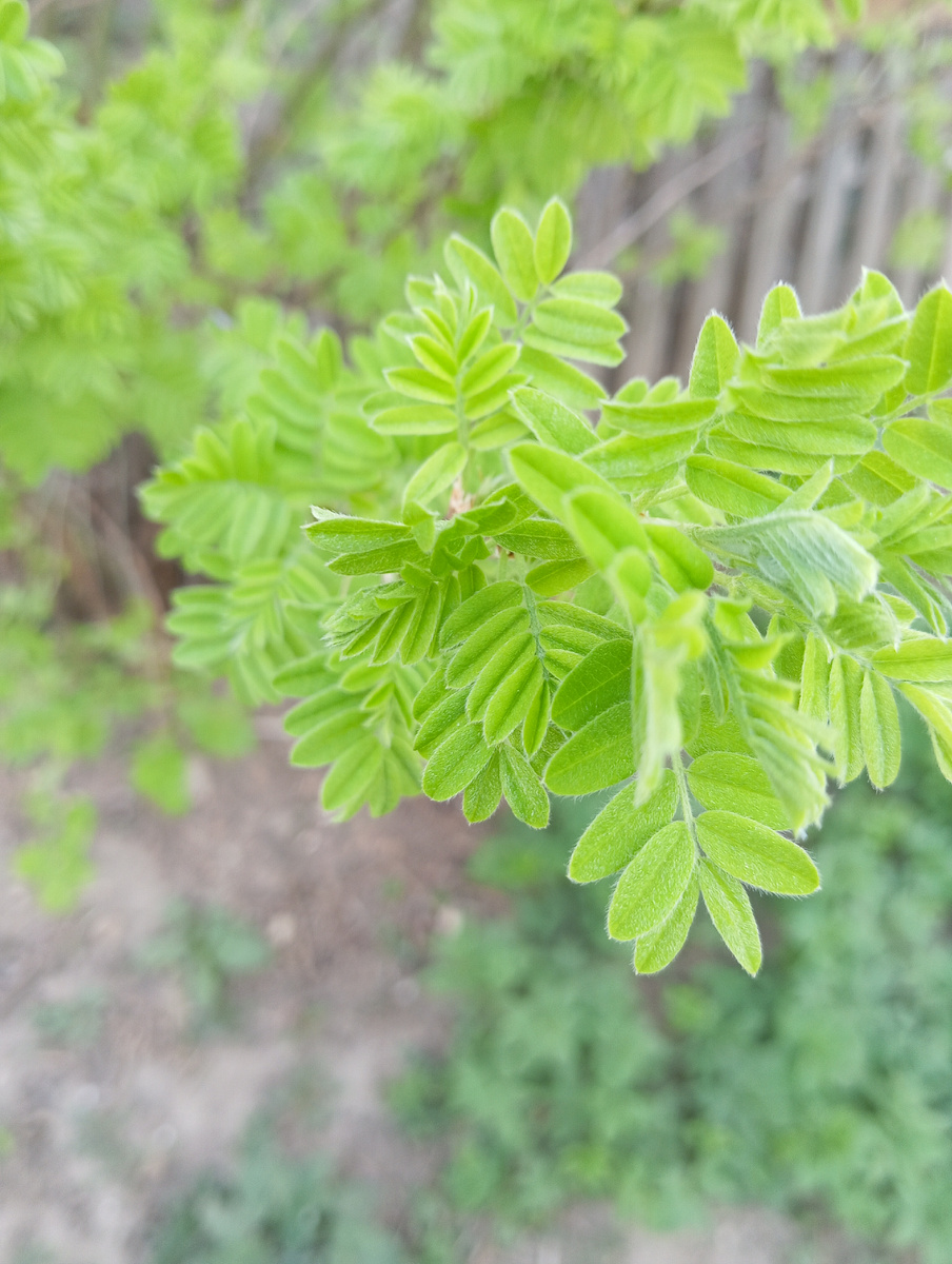 Личное фото автора канала