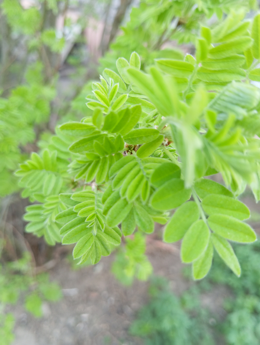 Личное фото автора канала
