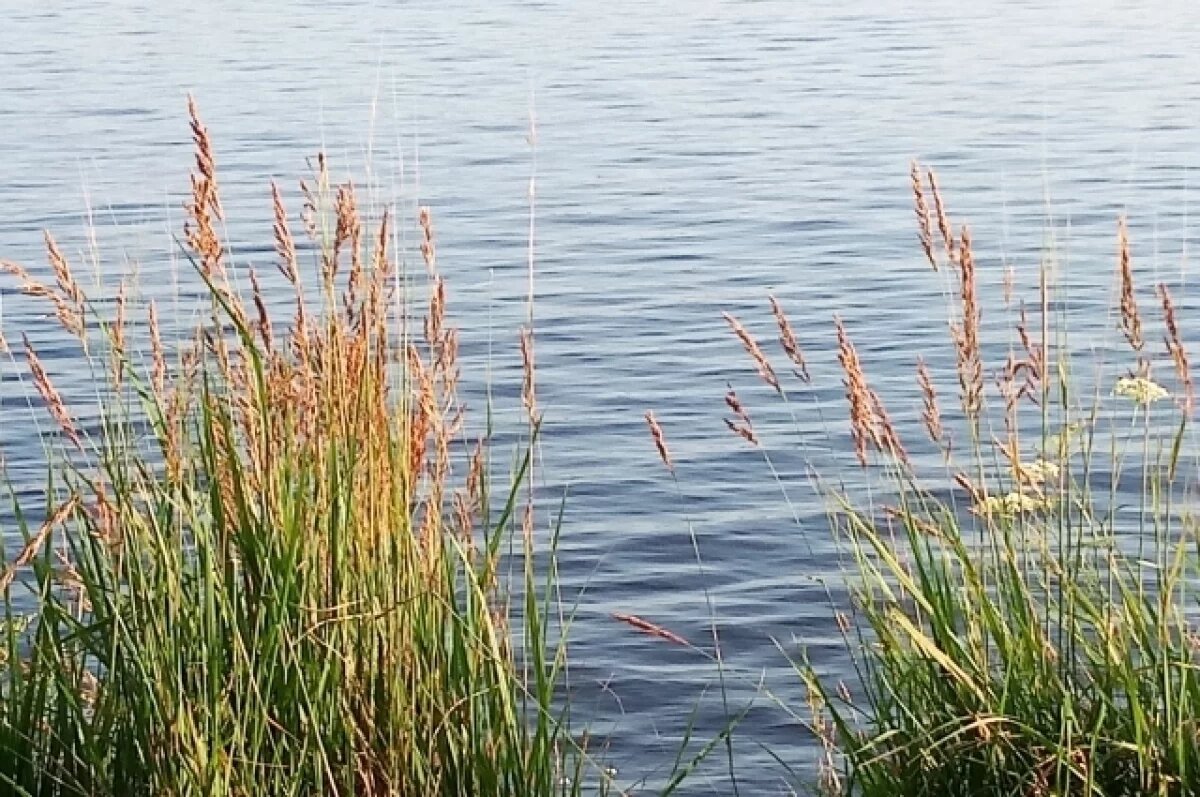    Путин наградил жительницу Чувашии медалью «За спасение погибавших»