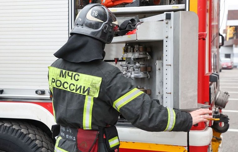    Алексей Белкин/NEWS.ru