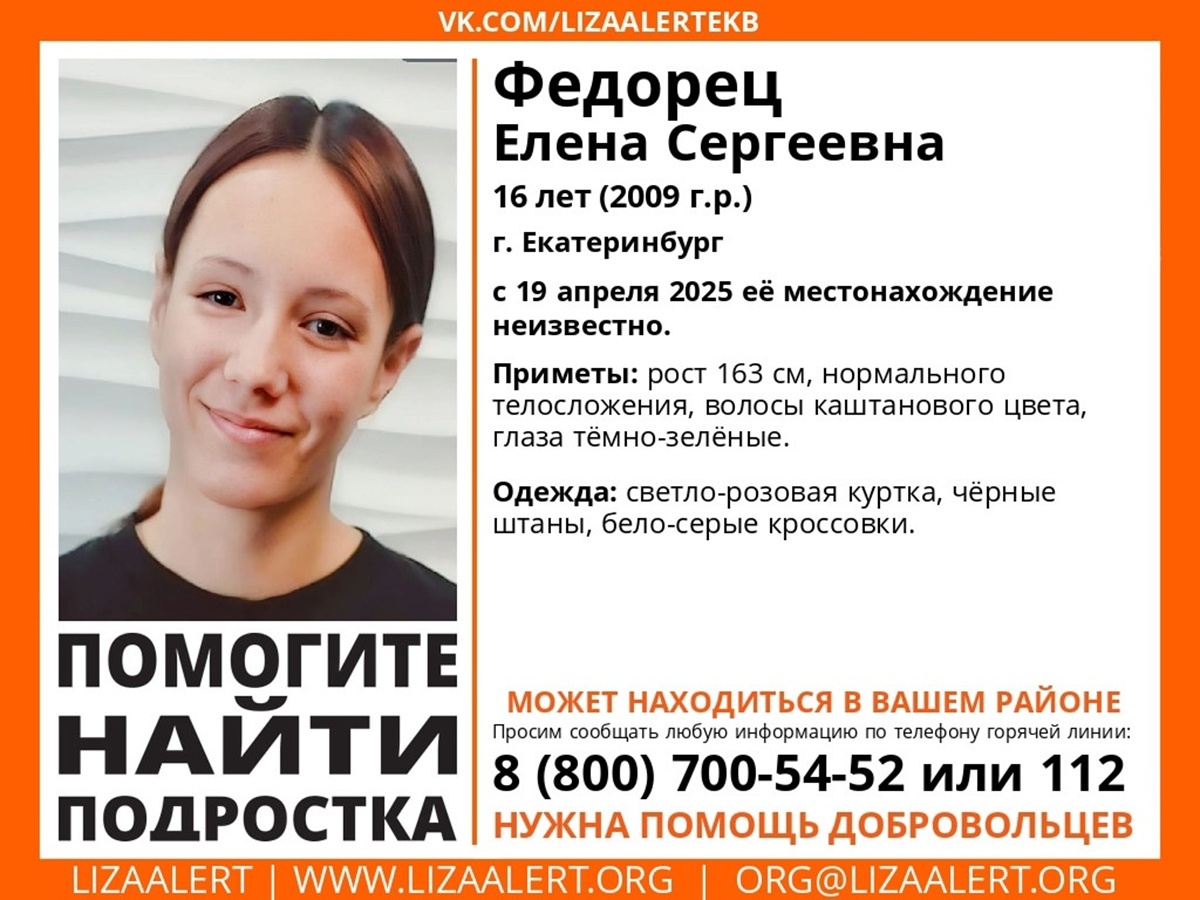 Фото: поисковый отряд «Лиза Алерт» Свердловской области  📷
