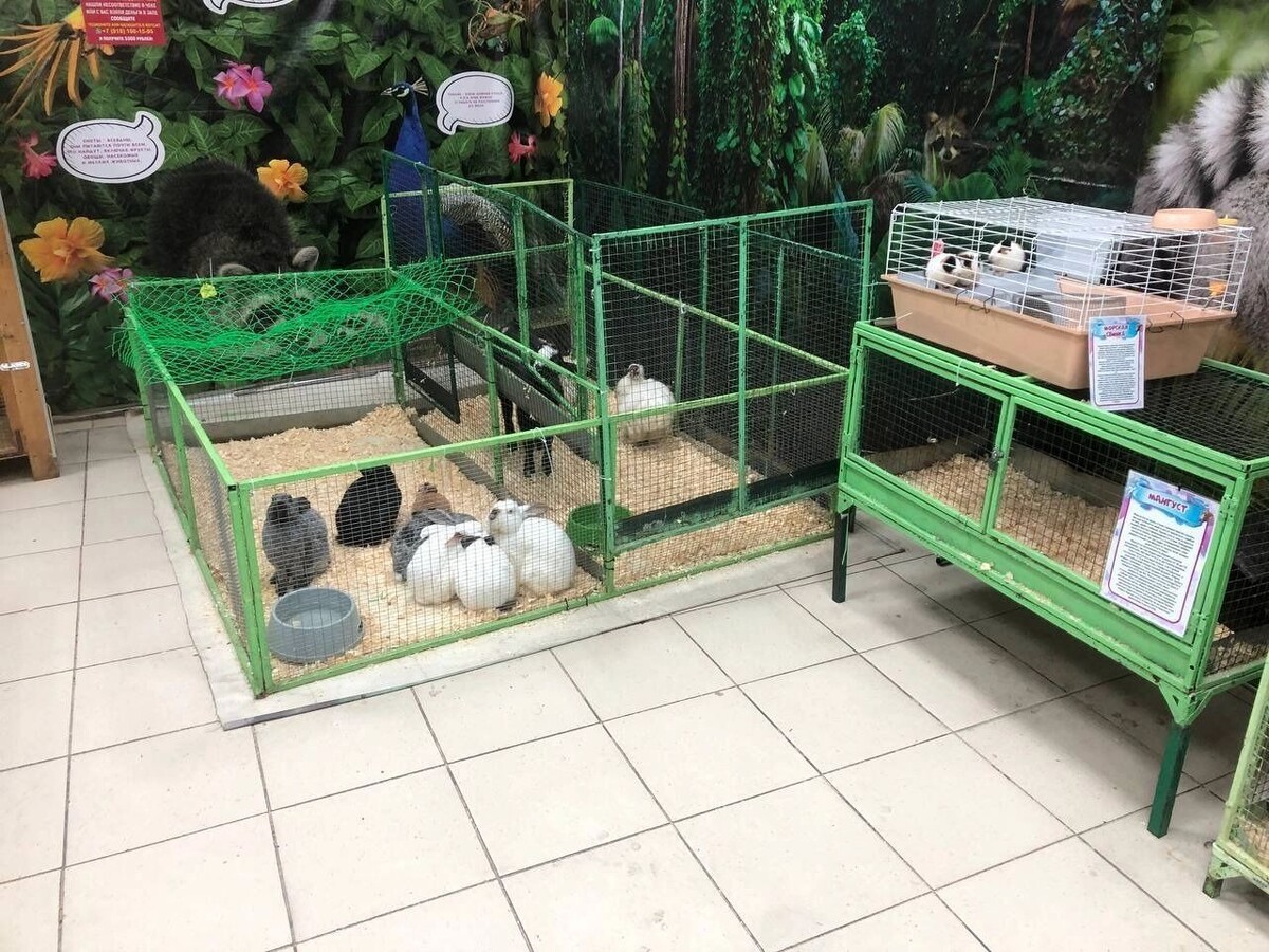     Источник: Прокуратура Красноярского края