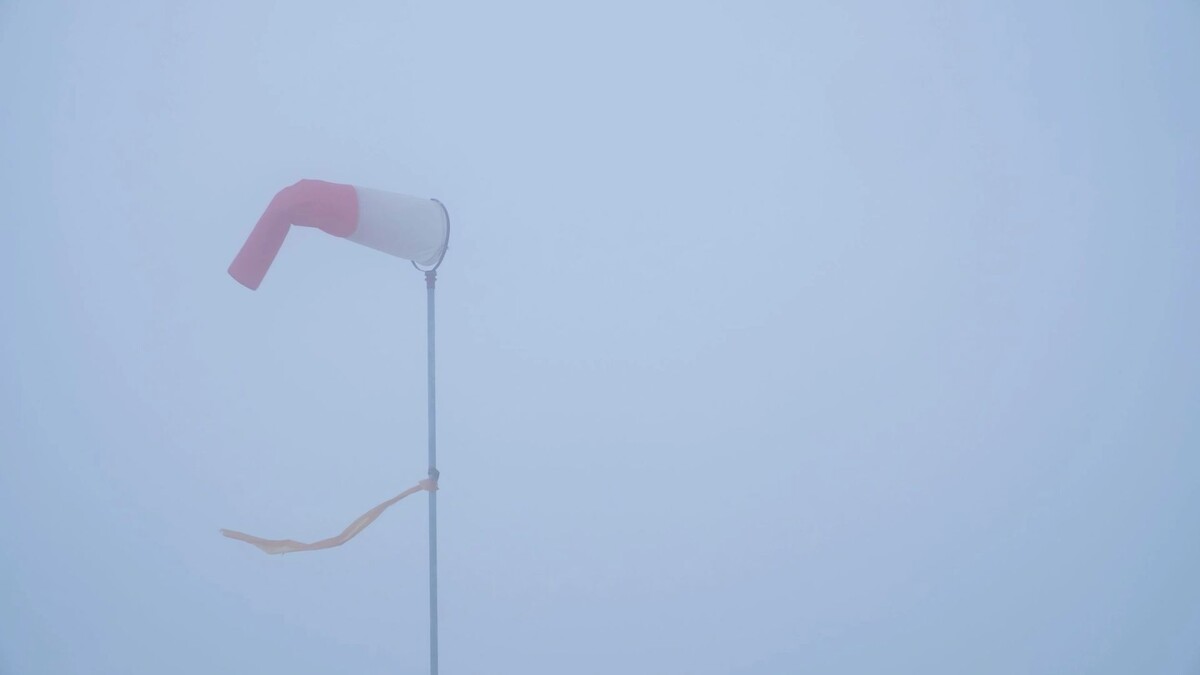    Фото: Stocker plus/Shutterstock/Fotodom