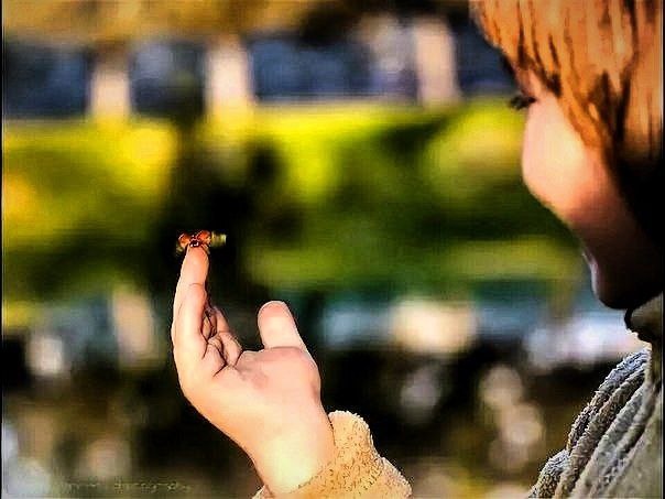 Фото с просторов всемирной паутины.