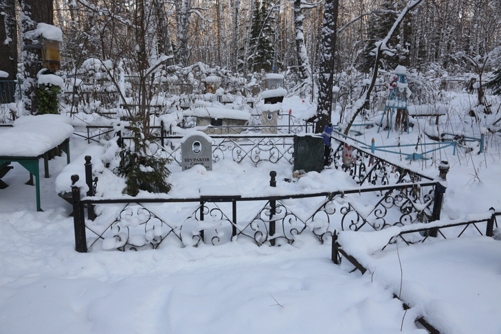    Фото Андрея Заржецкого