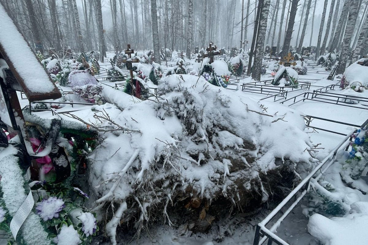 © Фото VN.ru.📷
