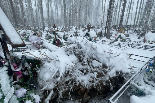    Фото: СКР по НСО