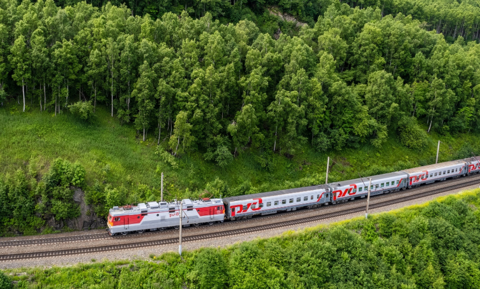    Екатерина Елисеева