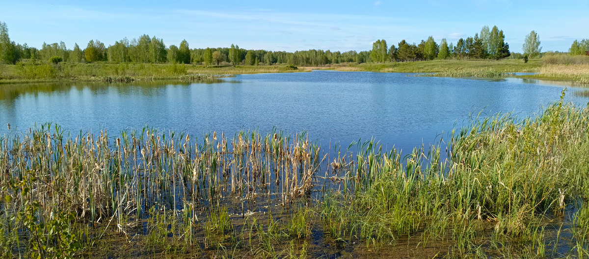 Вода, словно зеркало, отражала бездонное небо, где редкие облака лениво плыли...