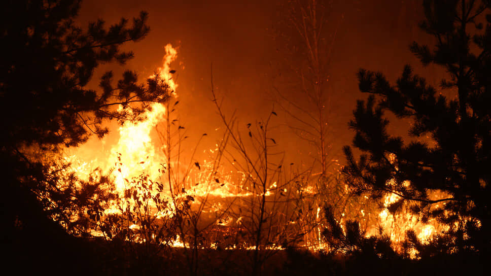 Фото: Олег Харсеев / Коммерсантъ