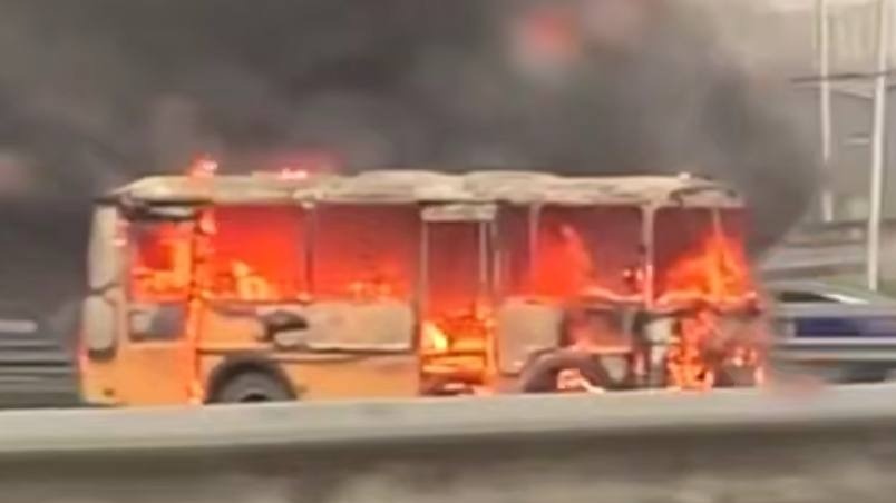    Фото: Скриншот видео / РЕН ТВ/Telegram