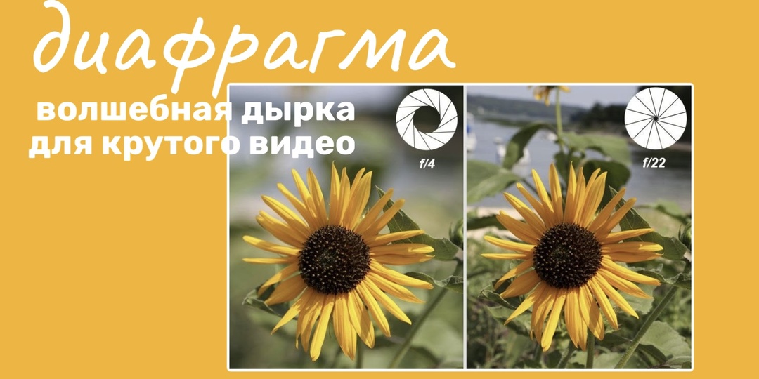 Секреты диафрагмы: как превратить обычное видео в кино