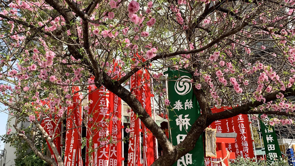 Фото: Елена Федотова / Коммерсантъ